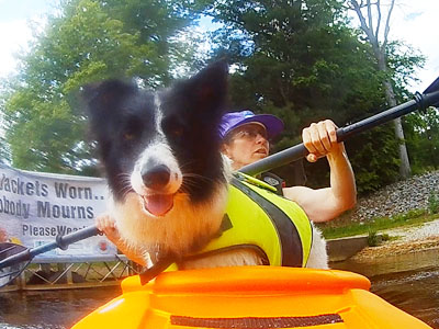 Daisy Dog Kayak Buffumvile Lake Charlton MA dog friendly