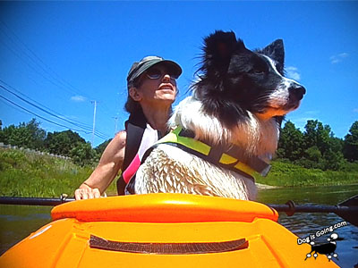 Dog Kayaking Quaboag River