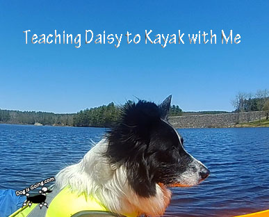 Teach Dog to Kayak